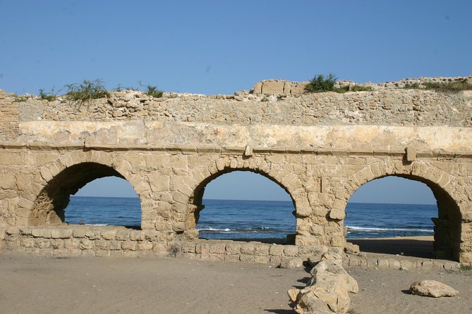8-Night Israel Tour From Tel Aviv: Jerusalem, Dead Sea, Bethlehem, Nazareth, Northern Israel and Petra - Reviews and Feedback