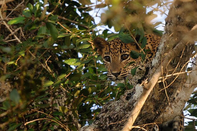 8 Nights 09 Days Simply Sri Lanka - Water Sports in Bentota