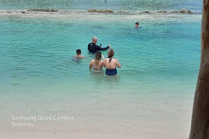83 Islands Distillery & Sightseeing of Port Vila with Yumi Tours - FAQs