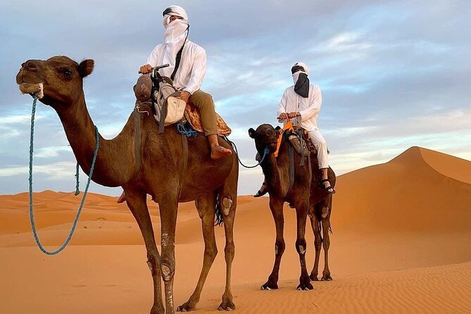 8D Morocco Luxury Private Tour From Casablanca By Imperial Cities - Transportation and Guide