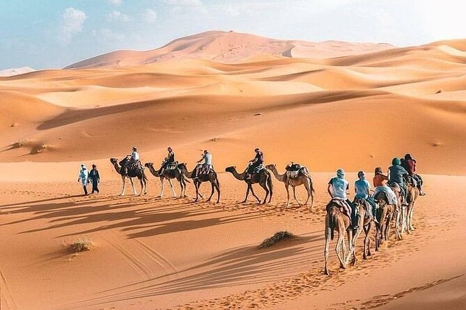 8D Morocco Luxury Private Tour From Casablanca By Imperial Cities - Volubilis Exploration