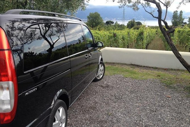 8h Pompeii Vesuvius Wine Farm Tour - Accessibility and Age Limitations