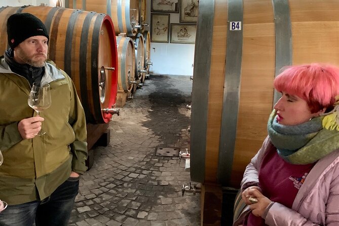 8h Pompeii Vesuvius Wine Farm Tour - Breathtaking Views of the Bay