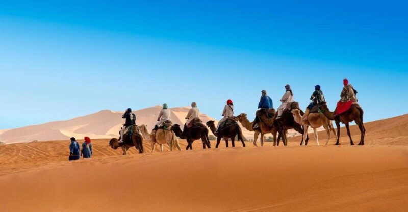 9-Day/8 Nights Tour From Casablanca, Chefchaouen, Marrakech - Accessibility and Group Options