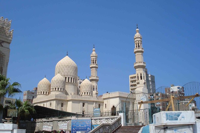 9 Day Egypt Travel Packages Cairo and Alexandria With the White Desert - Transportation Options