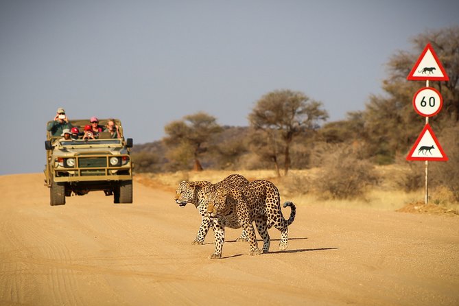9 Day Etosha, Skeleton Coast and Sossusvlei Camping and Lodge Safari - What to Expect