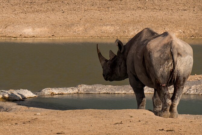 9 Day Etosha, Skeleton Coast and Sossusvlei Camping and Lodge Safari - Additional Information