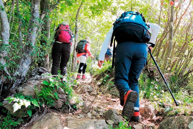 9-Day Inca Trail and Titicaca Lake in Group Service - Transfer to Puno