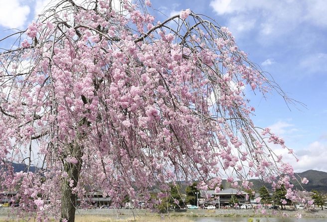 9-Day Japan and South Korea Highlight Tour - Tour Guide Service