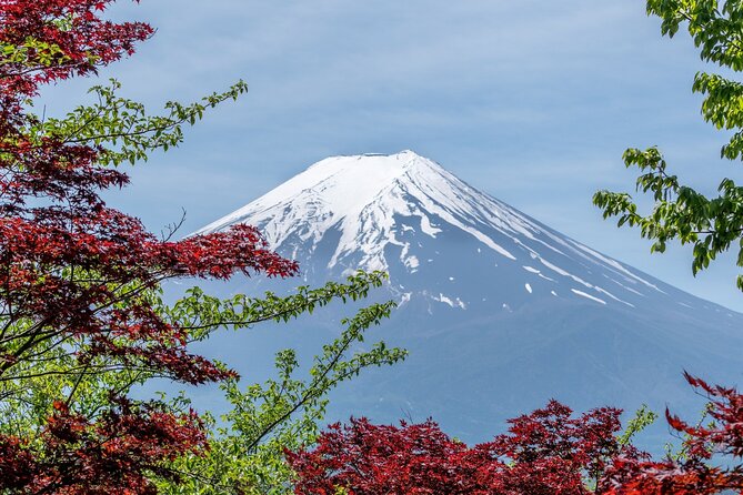 9-Day Japan and South Korea Highlight Tour - Cancellation Policy