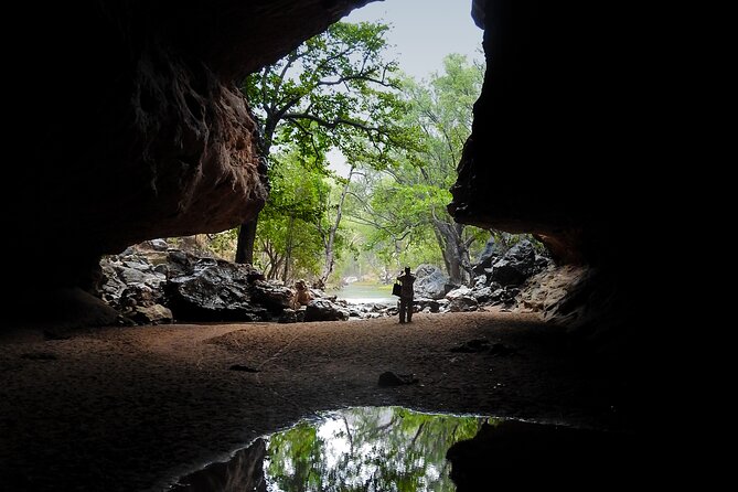 9-Day Kimberley Offroad Adventure From Darwin to Broome - Wildlife Encounters