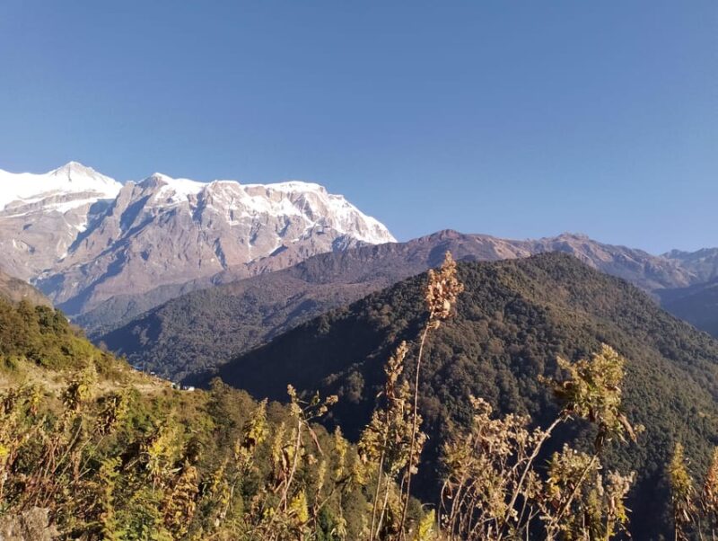9 Day Pokhara to Timang High-Altitude Trek - Exclusions
