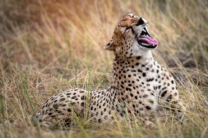 9-Day Serengeti Migration Footsteps Tanzania Safari - Inclusions