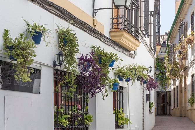 9-Day Tour: Madrid, Andalusia, Valencia & Barcelona From Madrid - Included Experiences