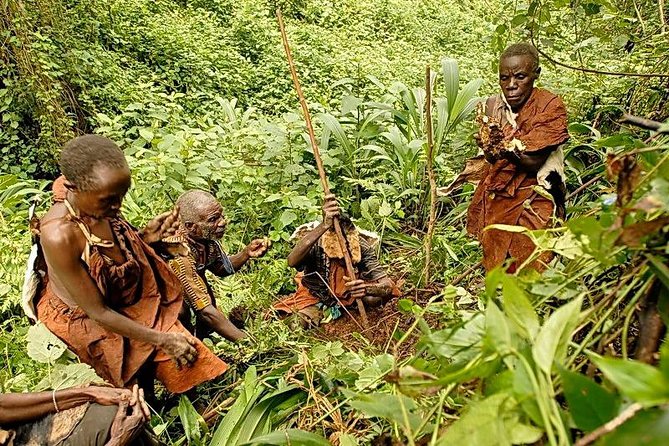9 Days Adventure And Wildlife Safari - Traveler Requirements