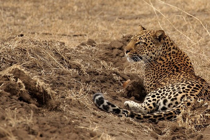 9 Days Adventure And Wildlife Safari - Booking Details