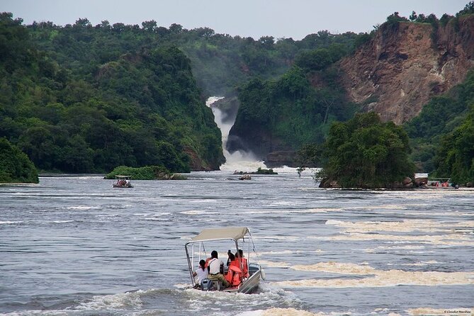 9 Days Adventure And Wildlife Safari - Safari Highlights