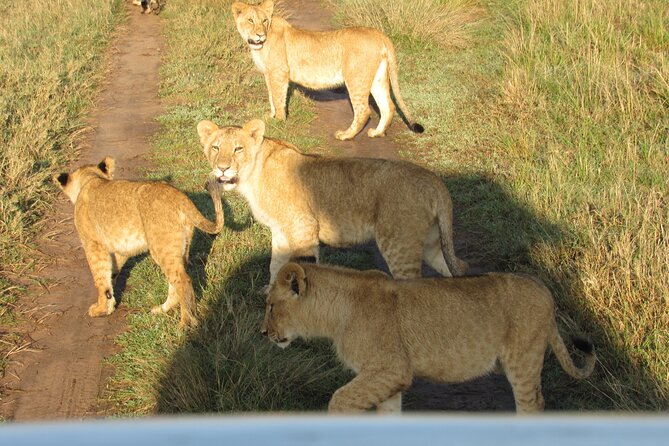 9 Days Amboseli-Ol Pejeta-The Ark-Nakuru-Naivasha-Masai Mara - Cancellation Policy