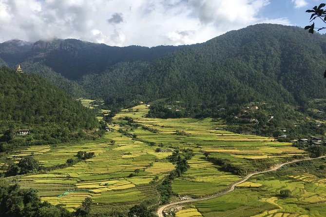 9 Days Authentic Bhutan Tour by Local Experts - Customer Feedback