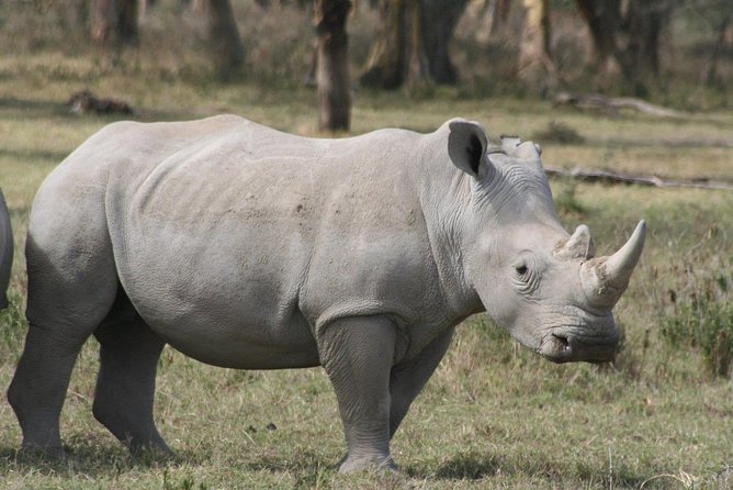 9-Days Best of Kenya Wildlife Private 4X4 Jeep Safari - Capturing Breathtaking Moments in Amboseli