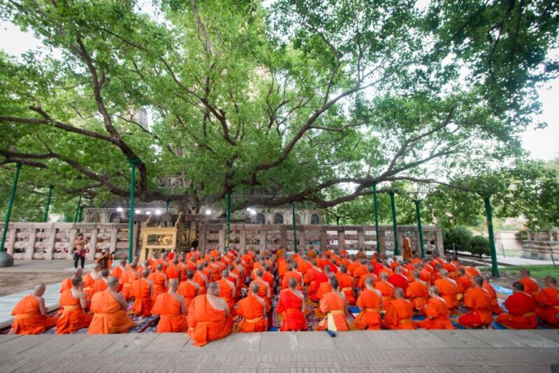 9 - Days Complete Buddha Tour From Delhi - Itinerary Highlights
