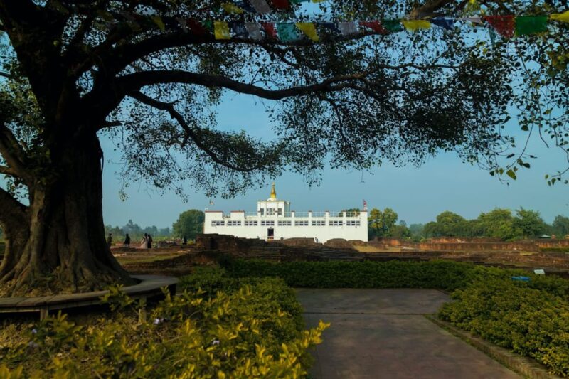 9 - Days Complete Buddha Tour From Delhi - Arrival in Delhi