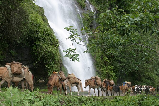 9 Days Druk-Path Trek With Cultural Sightseeing - Itinerary Highlights