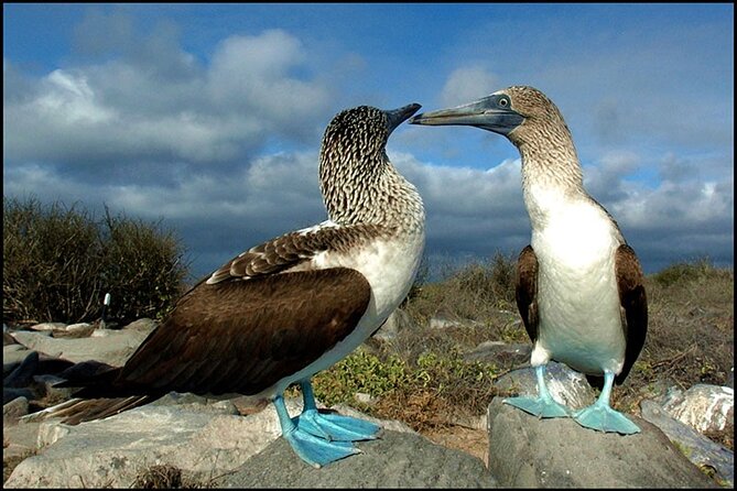 9 Days Galapagos Island Hopping - Discovering Floreana Island