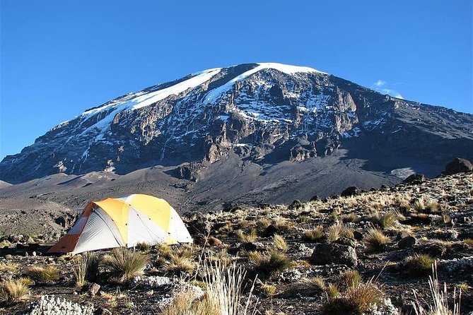 9 Days Kilimanjaro Hiking [ Climbing ] via Northern Circuit Route - Key Points