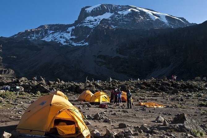 9 Days Kilimanjaro Hiking [ Climbing ] via Northern Circuit Route - Accessible and Flexible