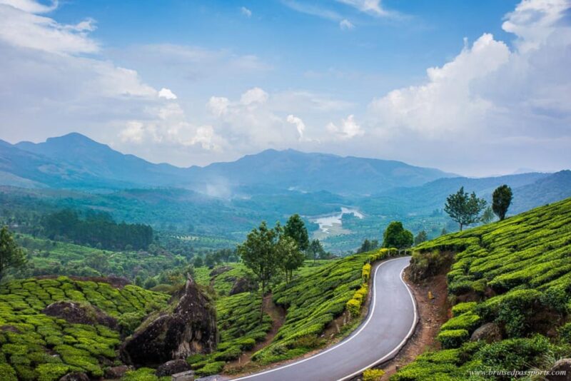 9 Days Private Car and Driver Tour to Kerala and Tamilnadu - Important Information and Guidelines