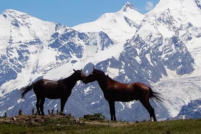 9 Days Private Hiking Tour in the Georgian Mountains of Caucasus - Meeting and Pickup