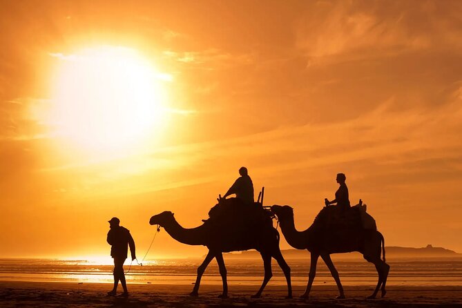 9 Days Tour in Morocco From Casablanca or Marrakech - Pricing and Cancellation