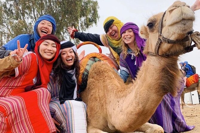 9 Days Tour in Morocco From Casablanca or Marrakech - Traveler Reviews