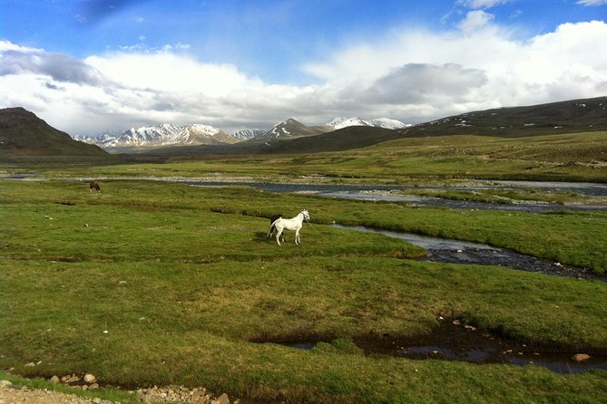 9 Days Tour to Skardu, Deosai, Rama Meadows From May to October - Key Points