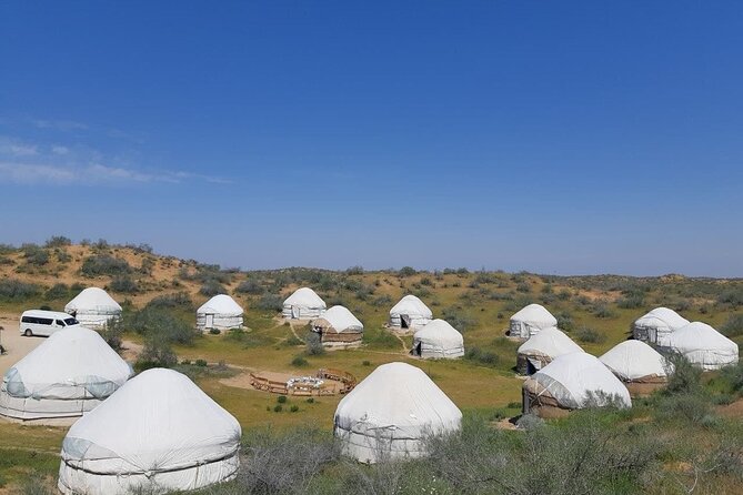 9-Days Tour to Uzbekistan From Tashkent - Transport and Logistics