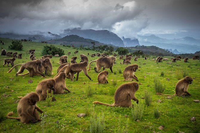 9 Days Tours To Danakil Depression, Simen MNP, Lalibela With Omo Valley Tribes - Danakil Depression