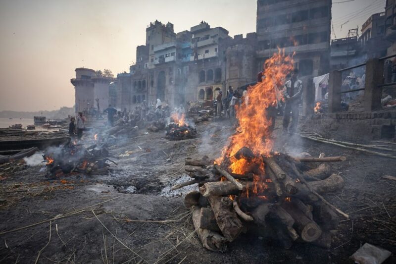 9 - Days Visit India Golden Triangle Trip With Varanasi - Included Services