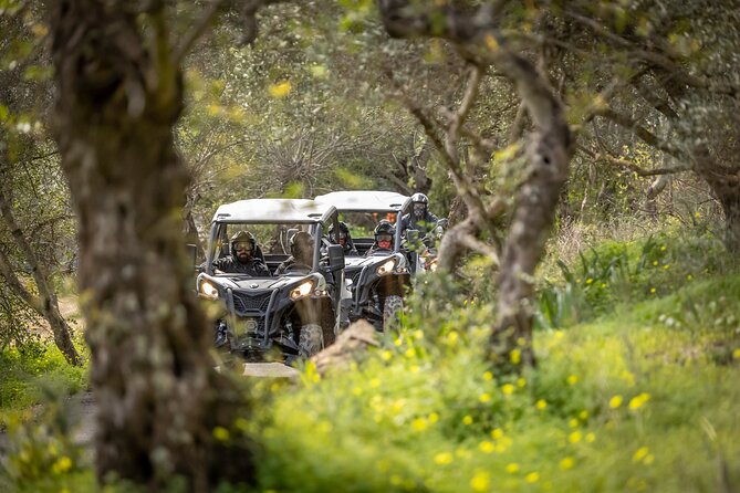 90-Minute Buggy or Quad Tour in the Algarve - Experience Highlights