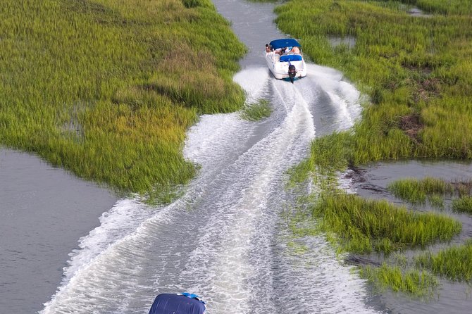 90-Minute Dolphin and Nature Tour of Hilton Head - Captains Knowledge and Expertise