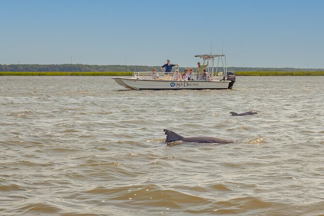 90 Minute Hilton Head Dolphin and Nature Cruise - What to Expect on the Cruise