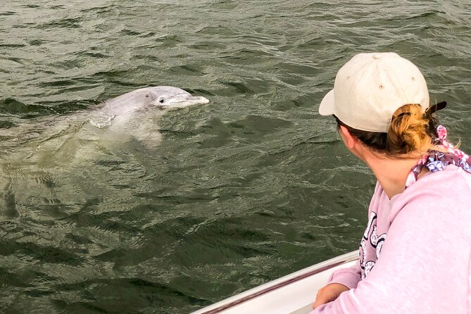 90 Minute Hilton Head Dolphin and Nature Cruise - Cruise Duration and Group Size
