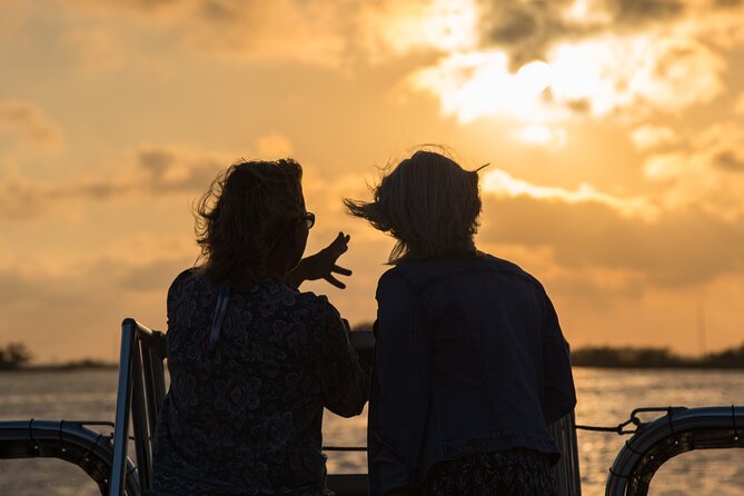90 Minute Hilton Head Sunset Dolphin Cruise - Accessibility and Participant Requirements