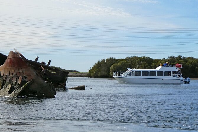 90 Minute Port River Dolphin & Ships Graveyard Cruise - Live Commentary and Guidance