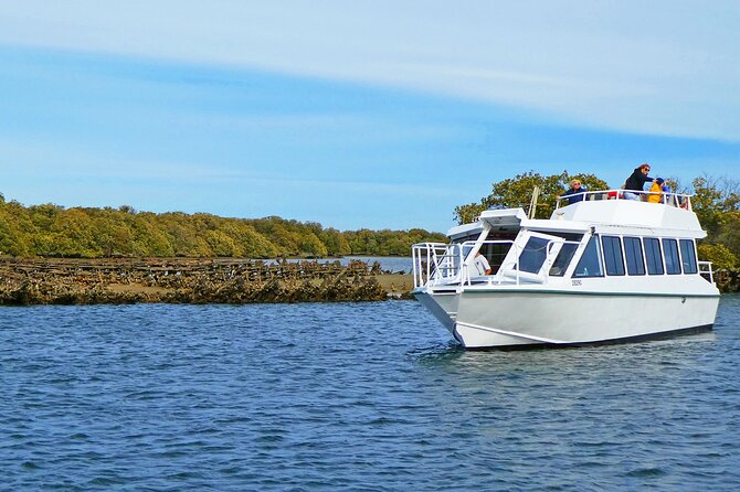 90 Minute Port River Dolphin & Ships Graveyard Cruise - Pricing, Policies, and Feedback