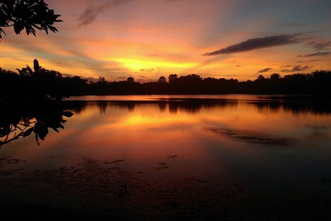 90-Minute Sunset Paddle at Secret Lake Guided Kayak Tour in Casselberry - Included Amenities
