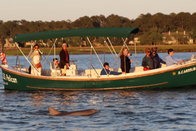 90 Minute Tour to See Dolphins in Hilton Head Island - Cancellation Policy