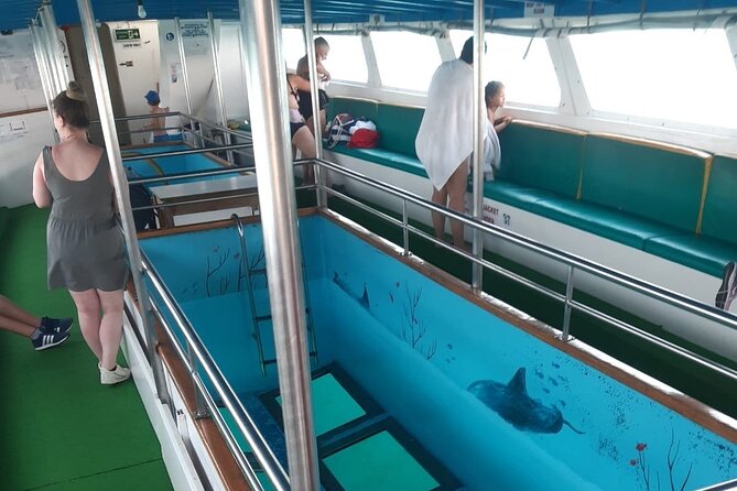 90-Minutes Glass Bottom Trip With Quick Dip - Highlights From Customer Feedback