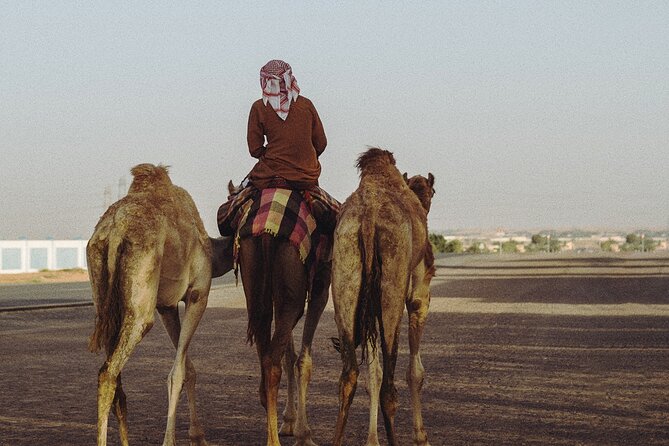 90 Minutes Guided Cultural Camel Riding in Dubai - Camel Riding Adventure Details