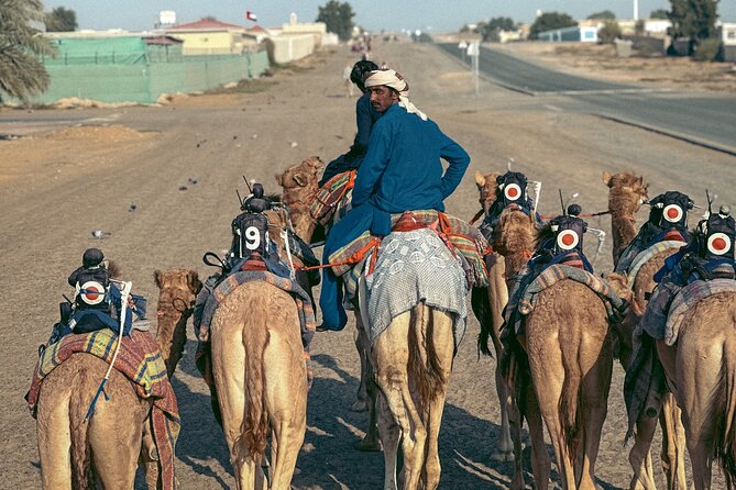 90 Minutes Guided Cultural Camel Riding in Dubai - Practical Information and Tips